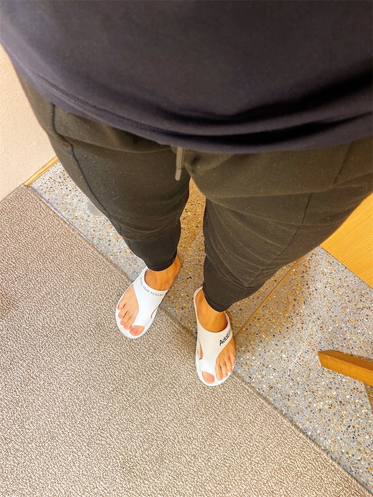 f:id:Penchi:20210815134535j:image f:id:Penchi:20210815134535j:image