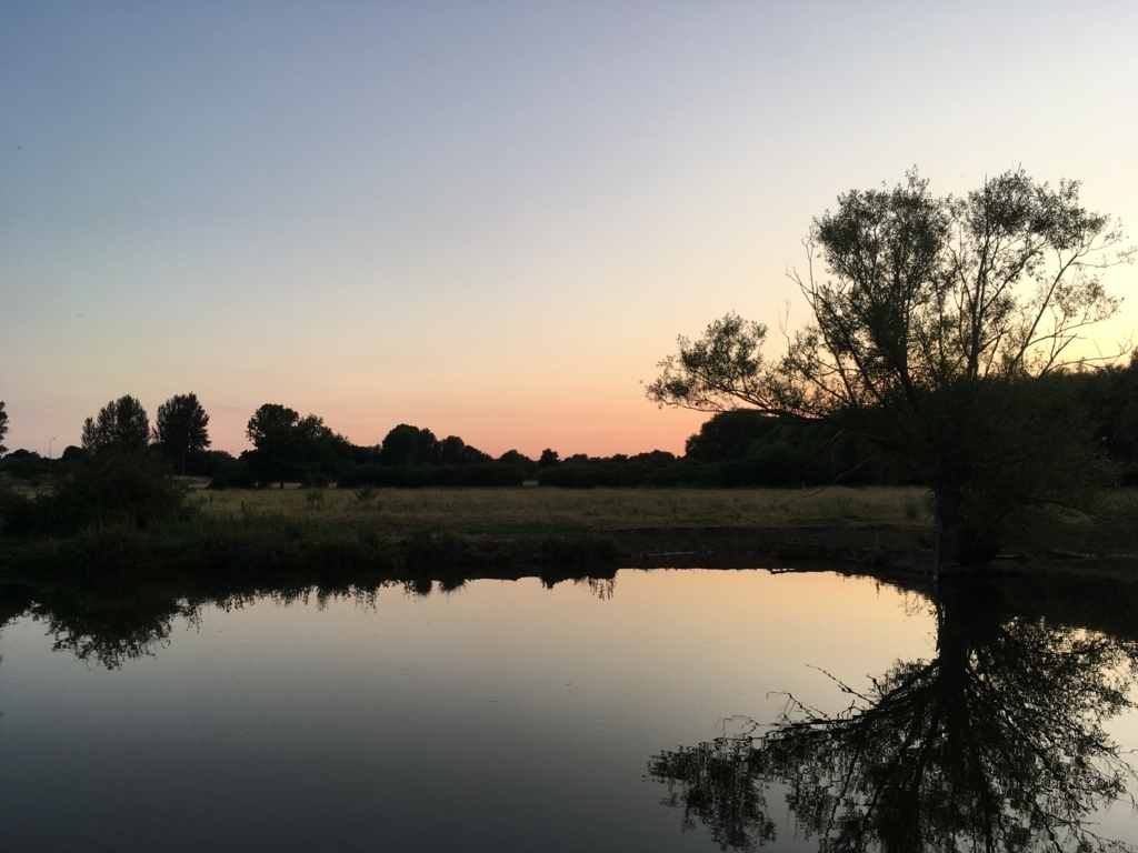 f:id:Penguinist:20180731023957j:plain