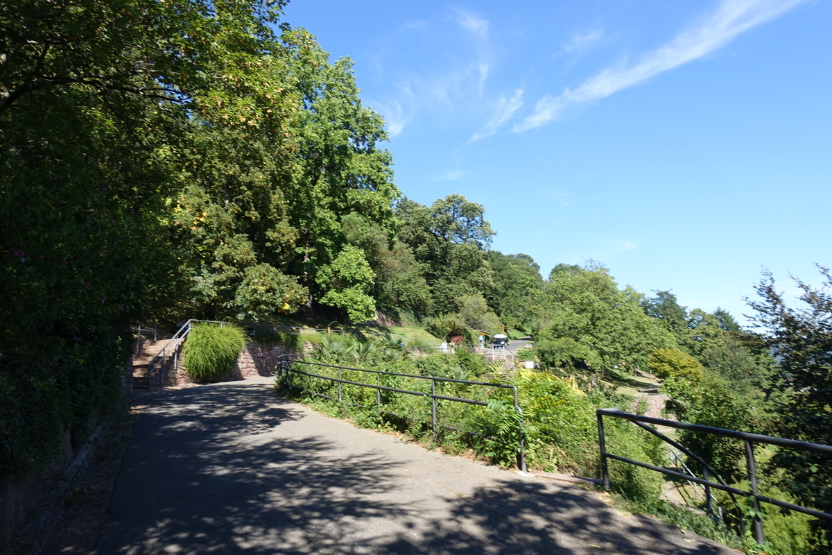 f:id:Penguinist:20191001054924j:plain