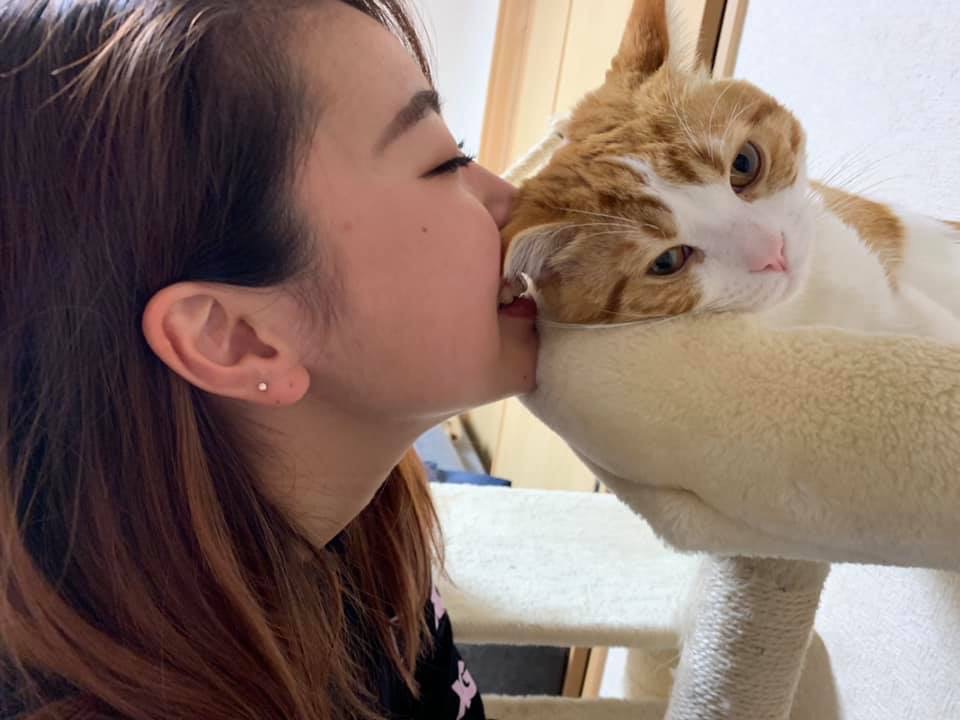 f:id:Perichan:20200629143443j:plain