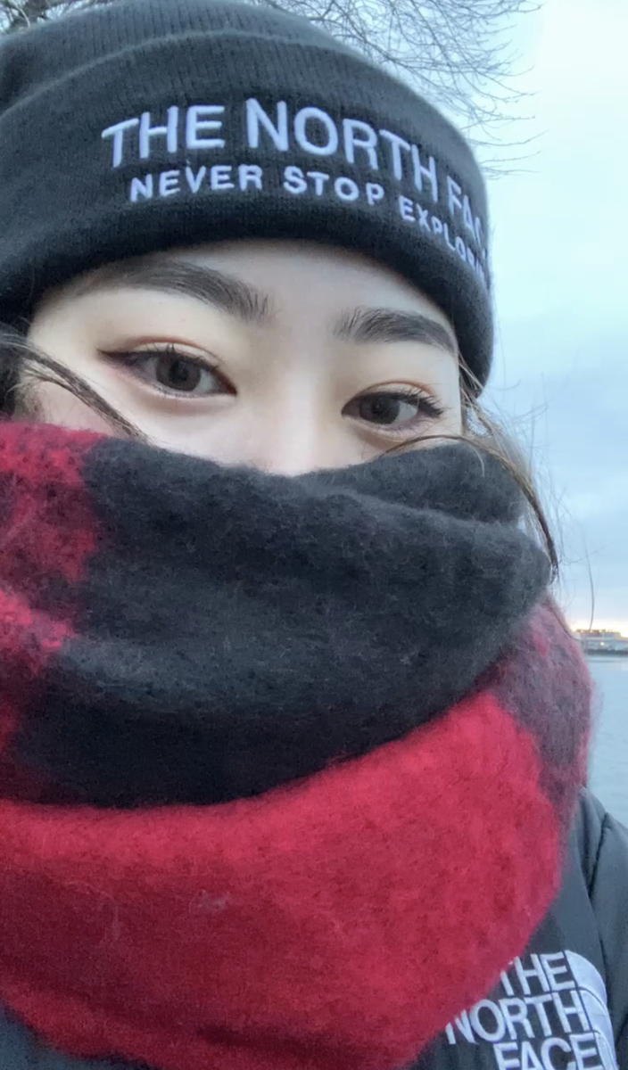 f:id:Perichan:20210102114147j:plain