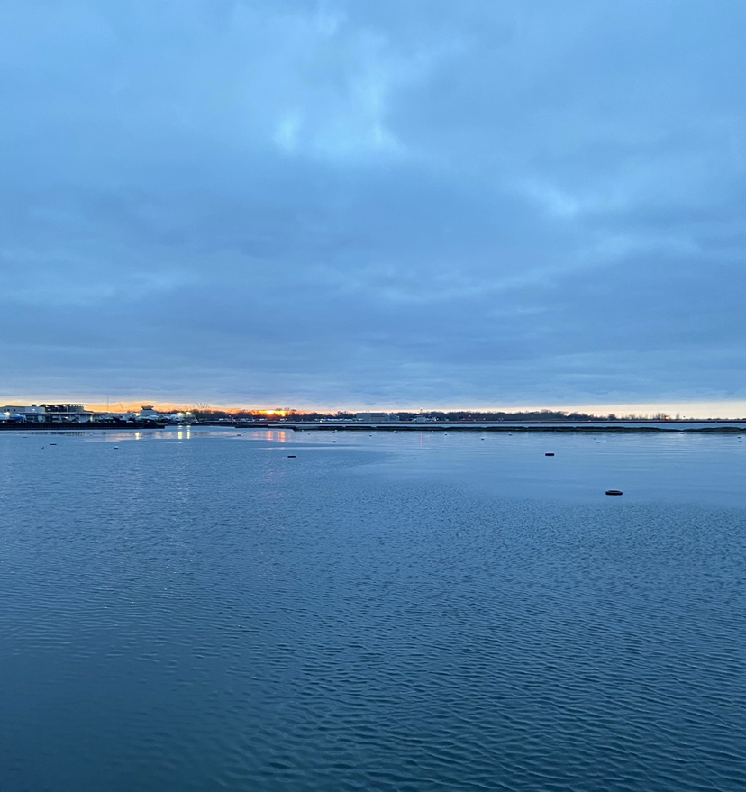 f:id:Perichan:20210102114505p:plain