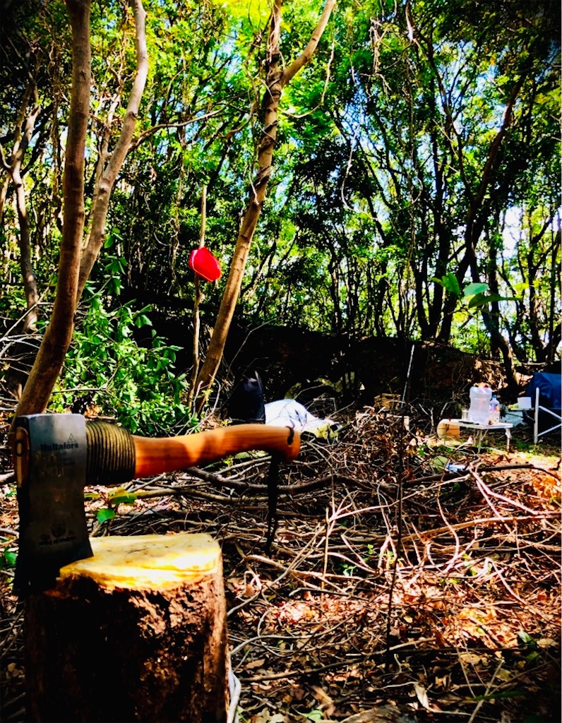 f:id:Perosuke:20231226114439j:image f:id:Perosuke:20231226114439j:image