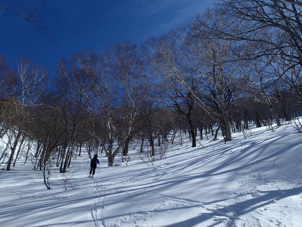 f:id:PerseidCross:20190224110509j:plain