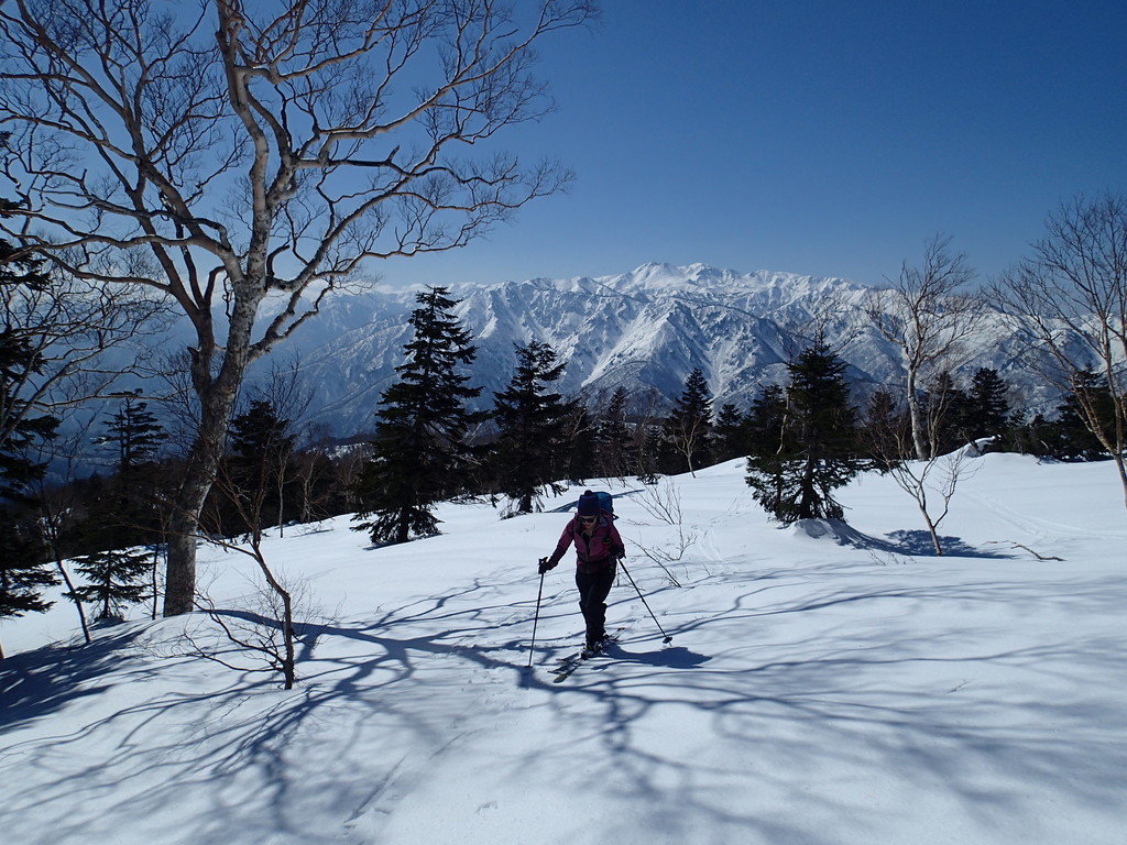f:id:PerseidCross:20190224124944j:plain