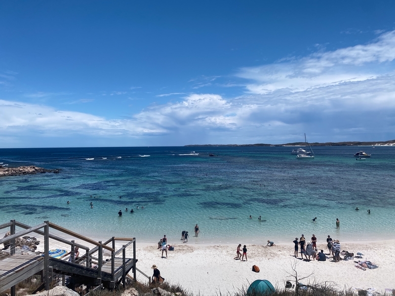 ミニホリデー ロットネスト島に行ってきました その1 パースねこのお散歩日記