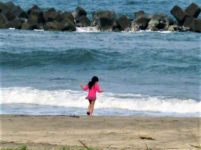 f:id:Pfree:20190208111652j:plain