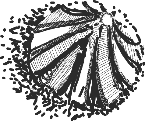 f:id:Philopon:20110222235110p:image f:id:Philopon:20110222235110p:image