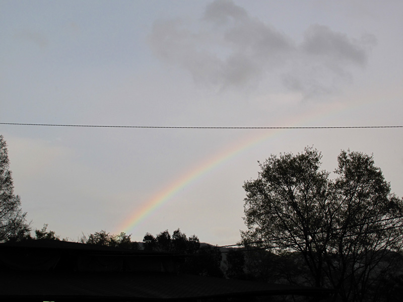 f:id:Philopon:20110423163436j:image f:id:Philopon:20110423163436j:image