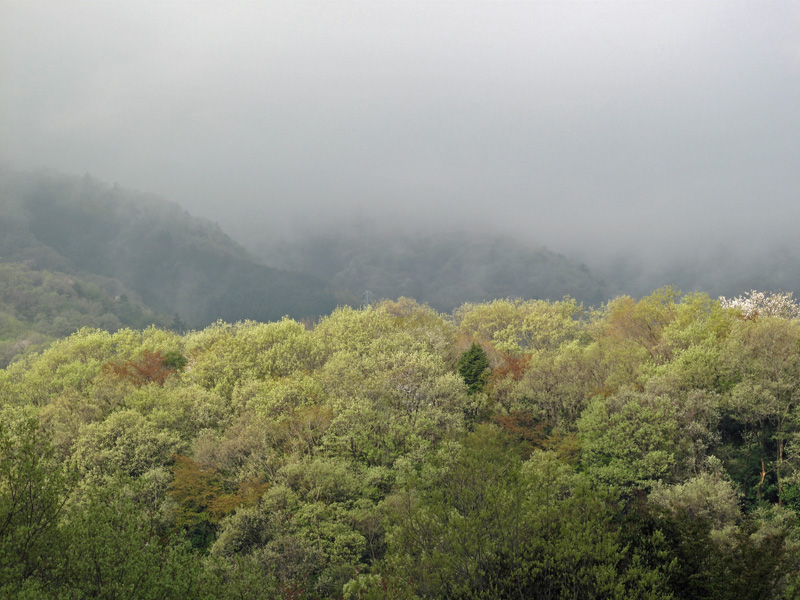 f:id:Philopon:20110424073917j:image f:id:Philopon:20110424073917j:image