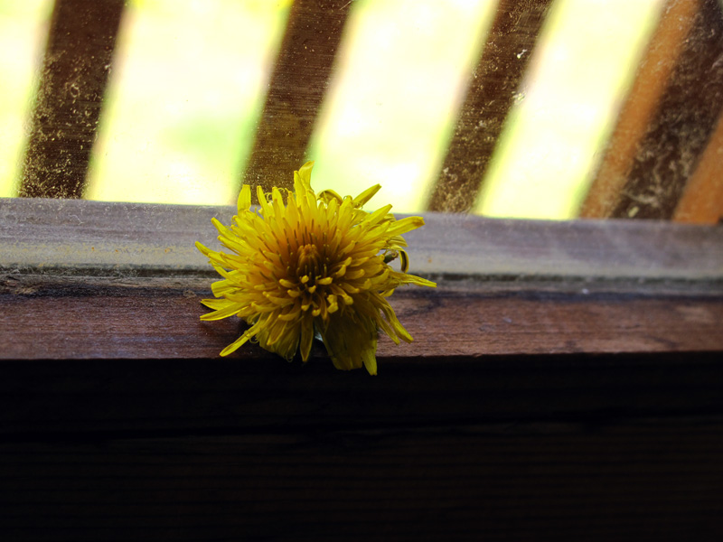 f:id:Philopon:20110424094434j:image f:id:Philopon:20110424094434j:image