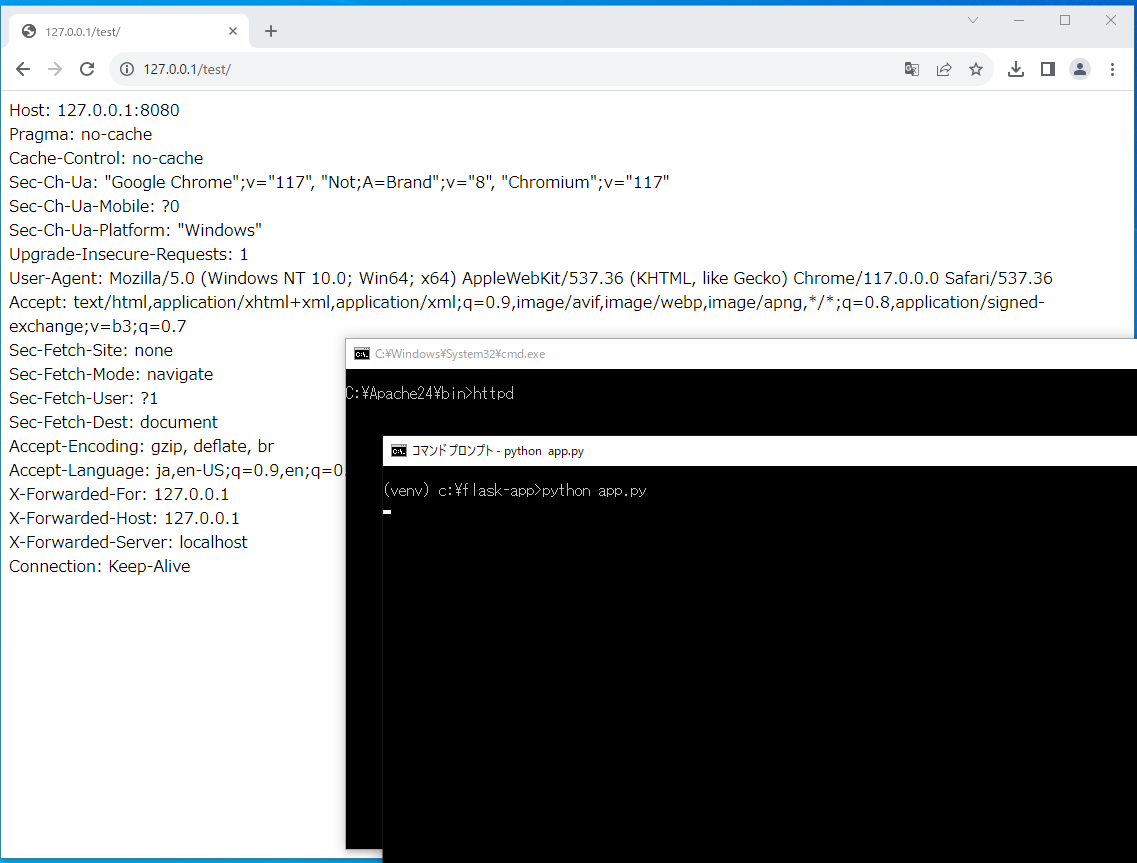 windows10 + Apache2.4(Reverse Proxy) + waitress + Flask3.0の環境を構築 skydum