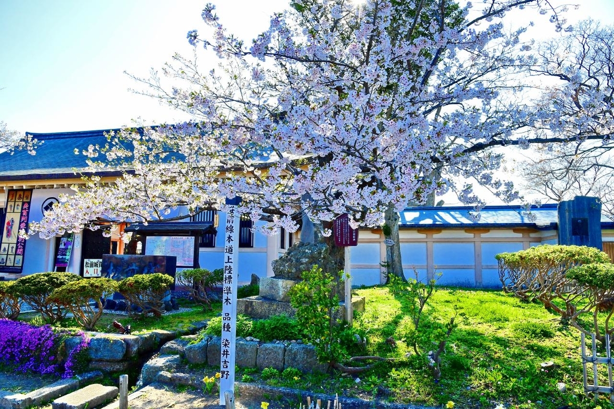 f:id:PhotoDepart:20190427071755j:plain