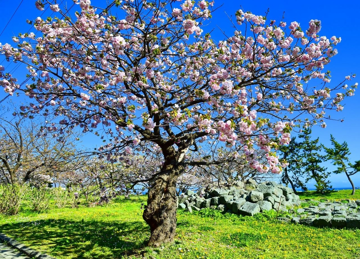 f:id:PhotoDepart:20190427071907j:plain