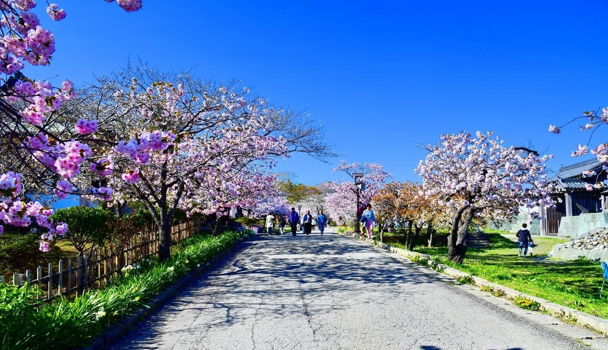 f:id:PhotoDepart:20190427071943j:plain