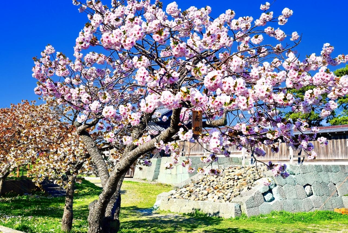 f:id:PhotoDepart:20190427071957j:plain