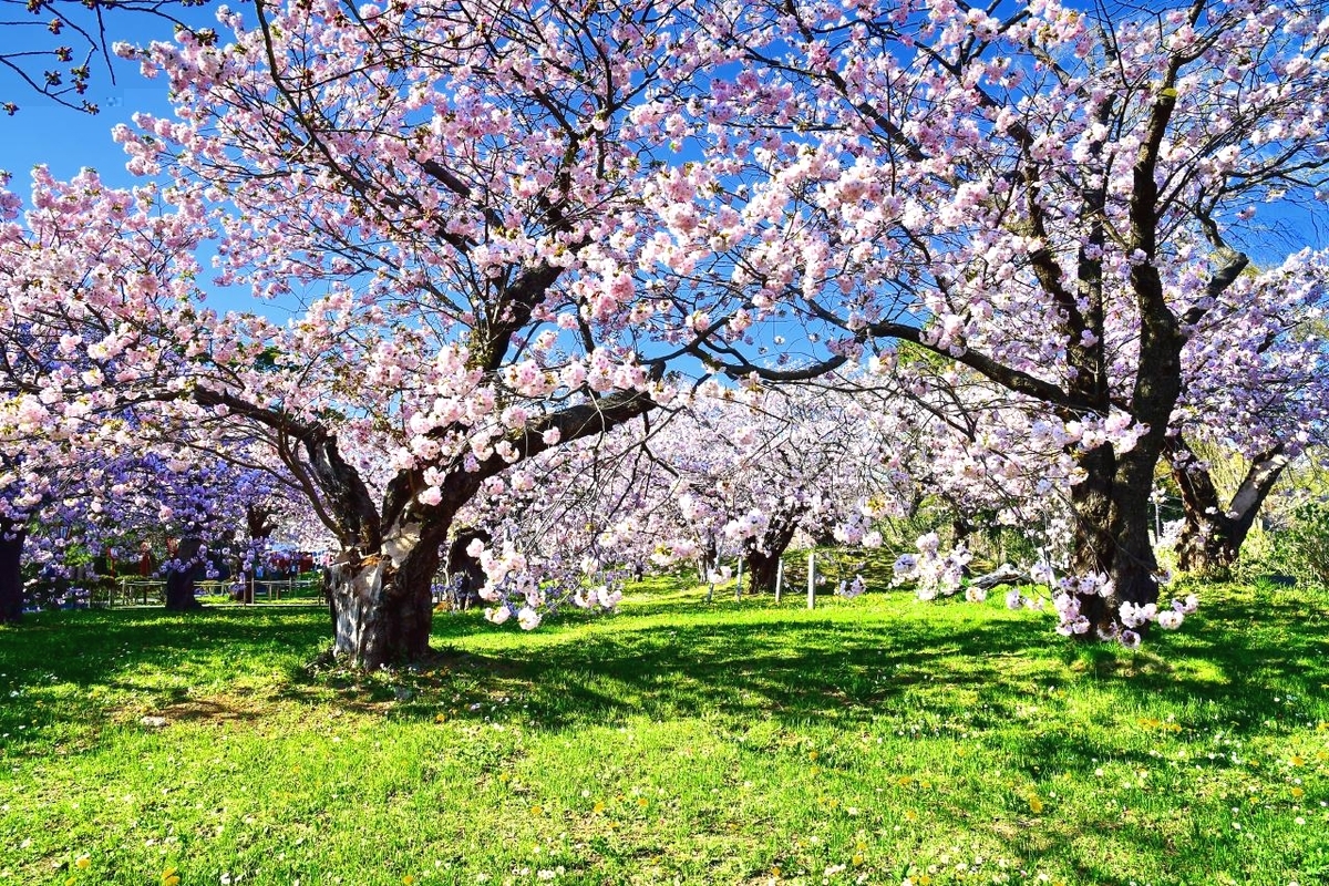 f:id:PhotoDepart:20190427072010j:plain