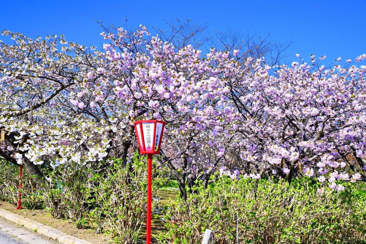f:id:PhotoDepart:20190427072022j:plain