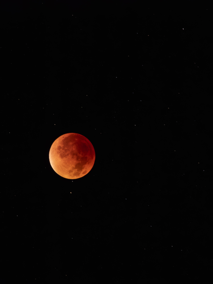 ほぼ全体が赤く染まった皆既月食中の月。夜空に浮かぶ赤い球体のよう。