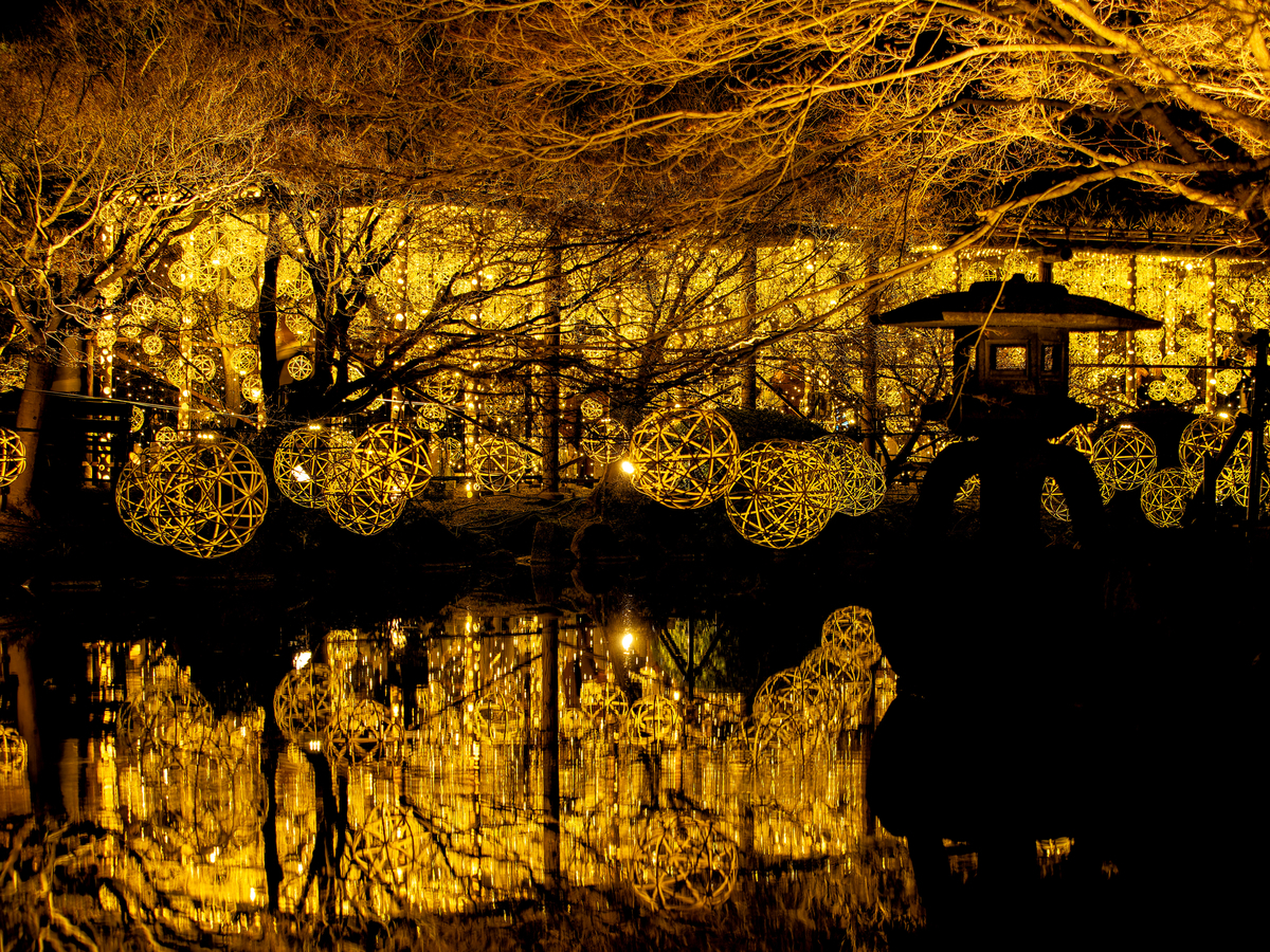夜の境内で光と影が重なる一角を写した写真