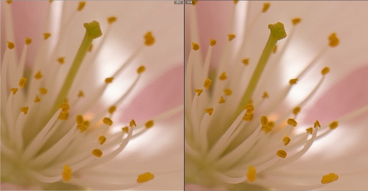 桜の花芯付近を処理前とPureRAW 3で比較したスクリーンショット