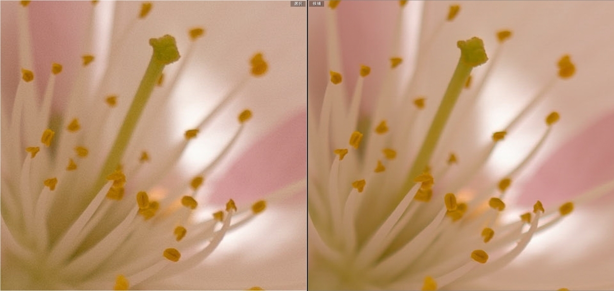 桜の花芯付近を処理前とPureRAW 6で比較したスクリーンショット