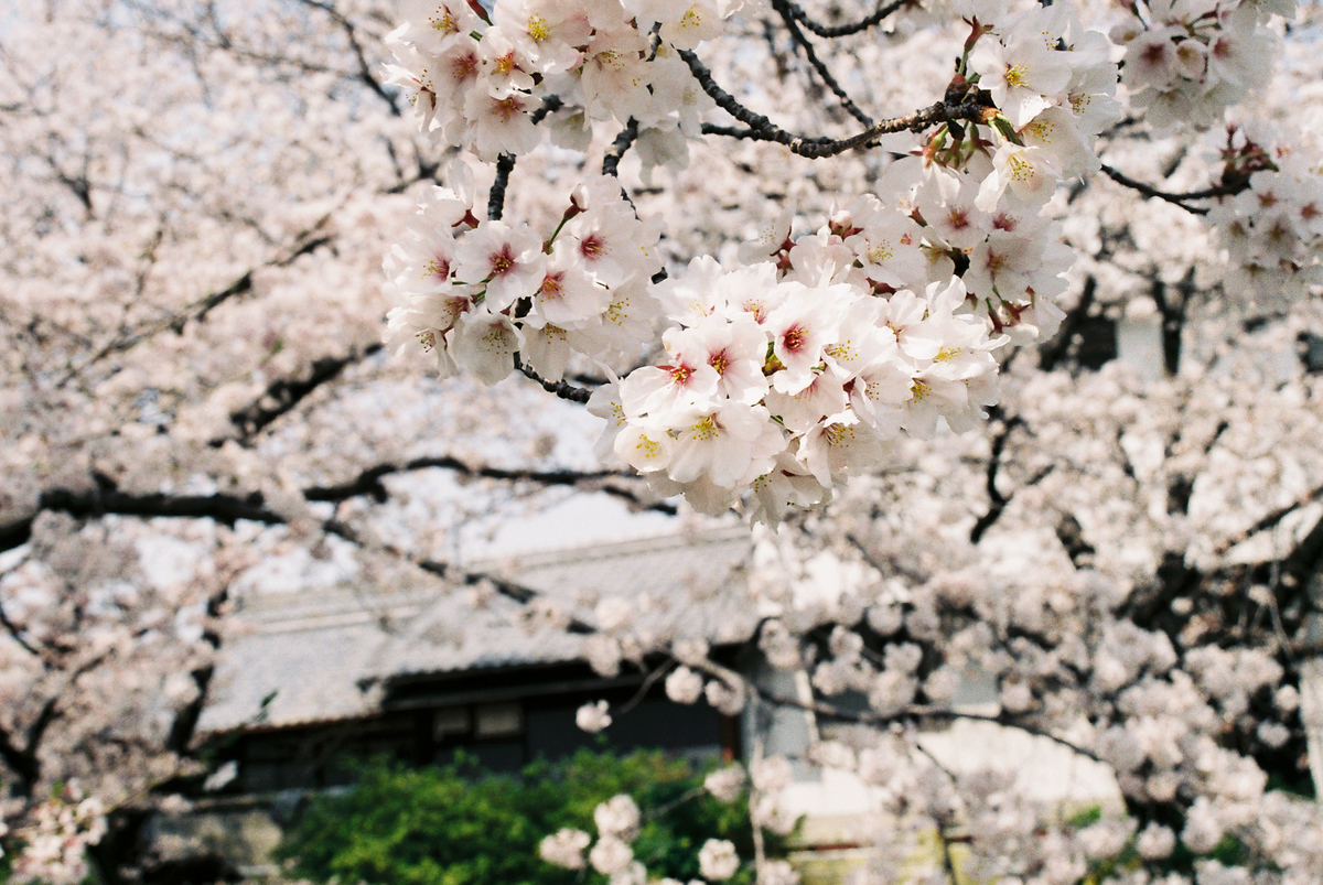 f:id:Photograph:20210905134622j:plain