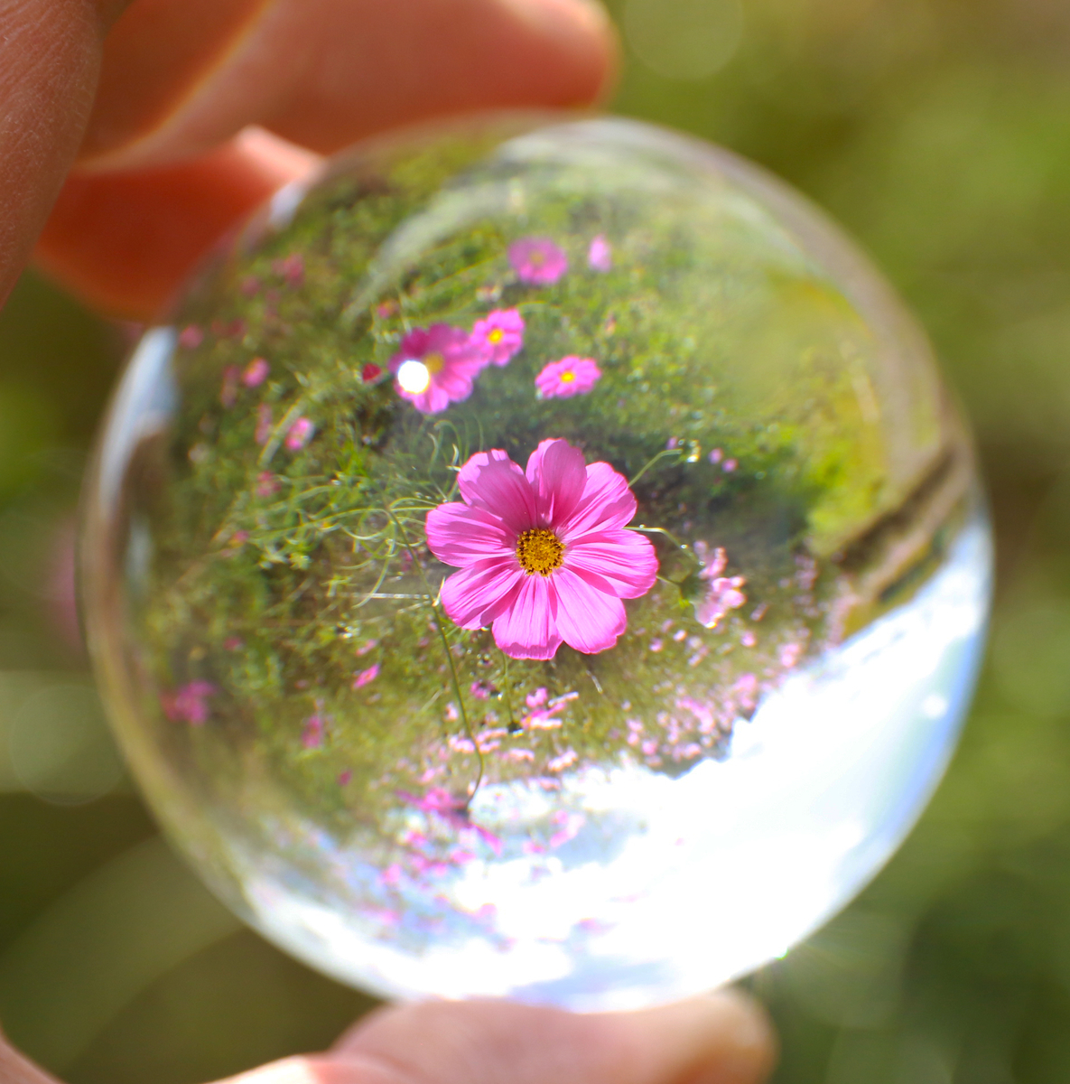 f:id:Photoshop_Akaou:20190822110328j:plain f:id:Photoshop_Akaou:20190822110328j:plain