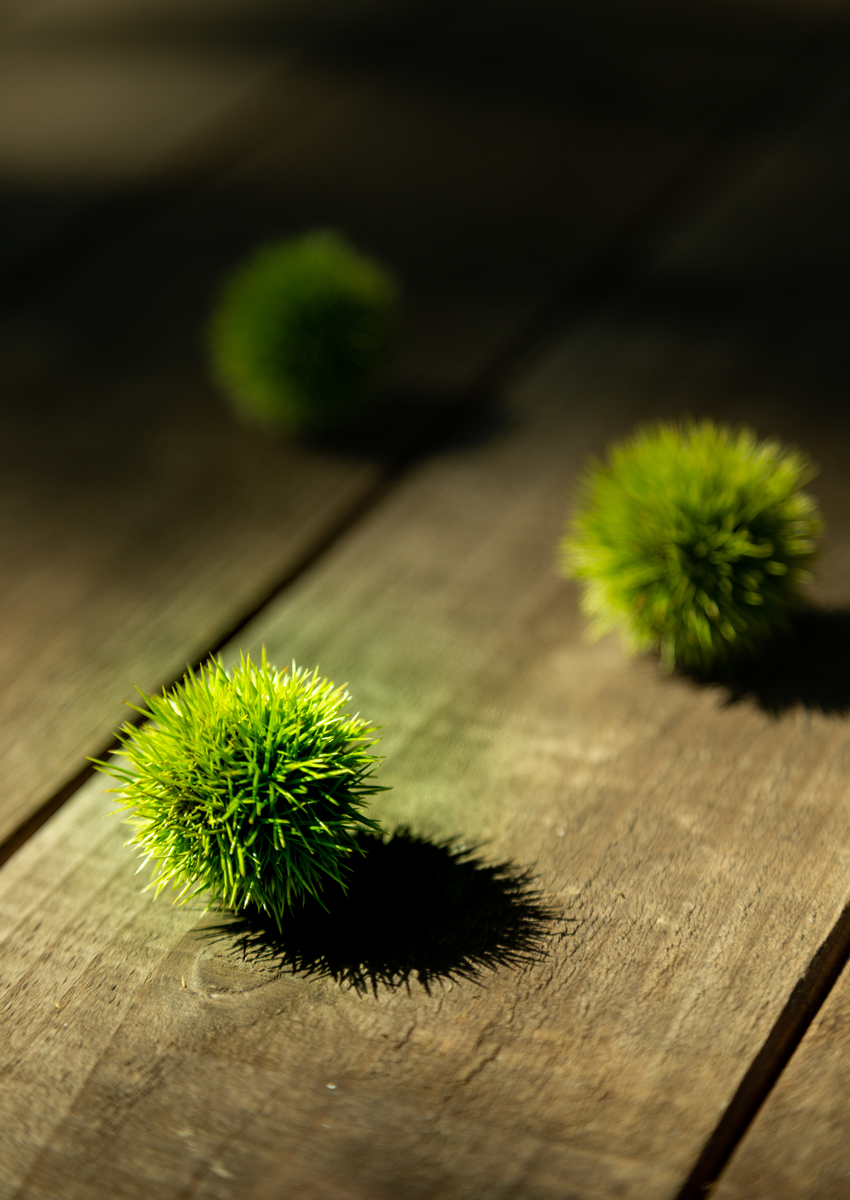 f:id:Photoshop_Akaou:20190909150519j:plain f:id:Photoshop_Akaou:20190909150519j:plain