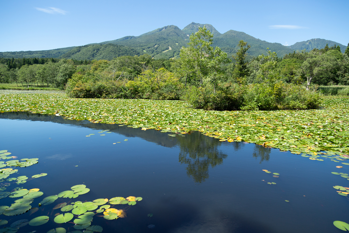 f:id:Photoshop_Akaou:20190909151642j:plain f:id:Photoshop_Akaou:20190909151642j:plain