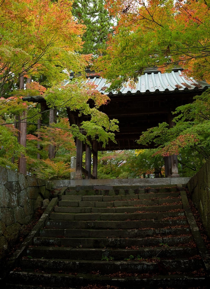 f:id:Photoshop_Akaou:20191105162658j:plain f:id:Photoshop_Akaou:20191105162658j:plain