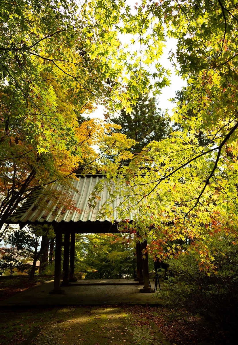 f:id:Photoshop_Akaou:20191105162702j:plain f:id:Photoshop_Akaou:20191105162702j:plain