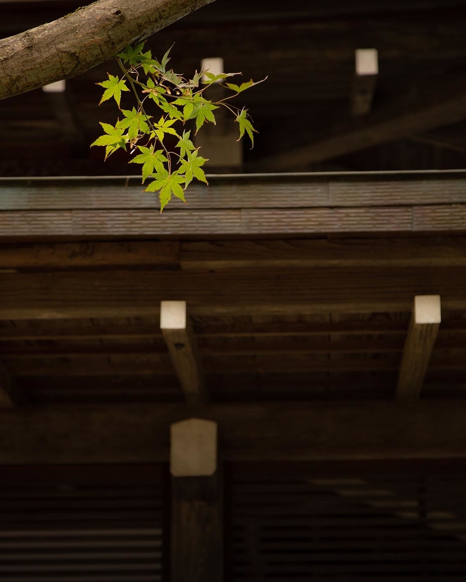 f:id:Photoshop_Akaou:20191105163332j:plain f:id:Photoshop_Akaou:20191105163332j:plain