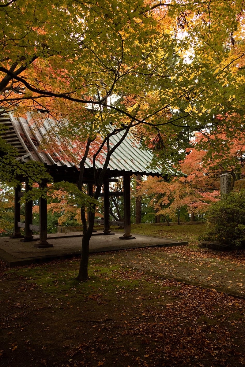 f:id:Photoshop_Akaou:20191110162634j:plain f:id:Photoshop_Akaou:20191110162634j:plain