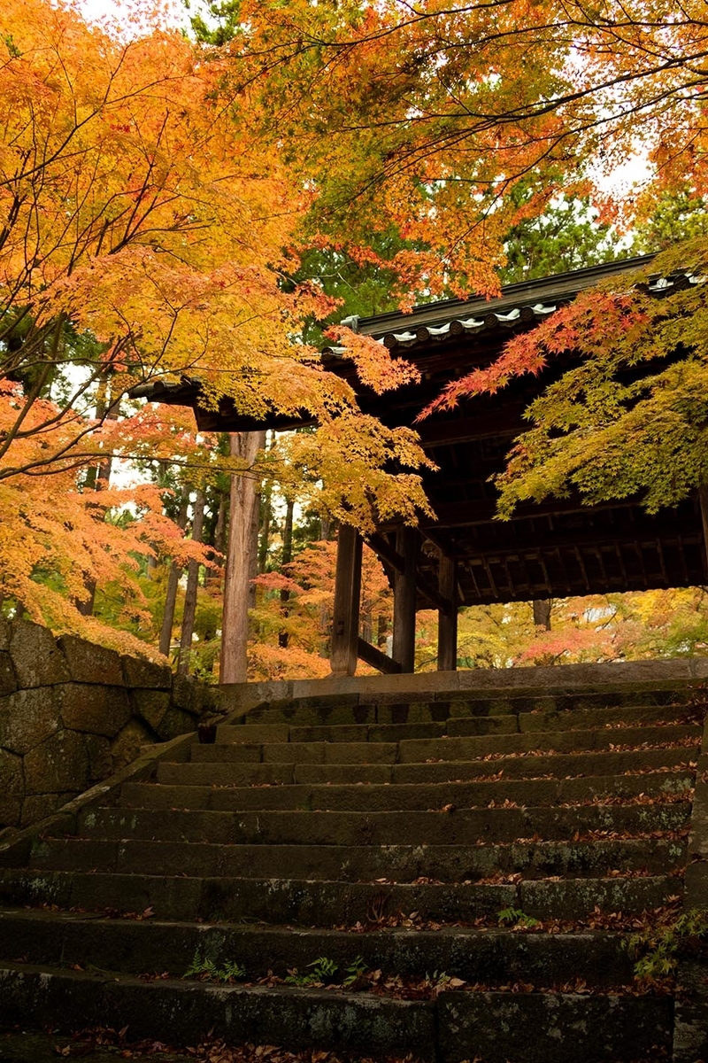 f:id:Photoshop_Akaou:20191110162643j:plain f:id:Photoshop_Akaou:20191110162643j:plain