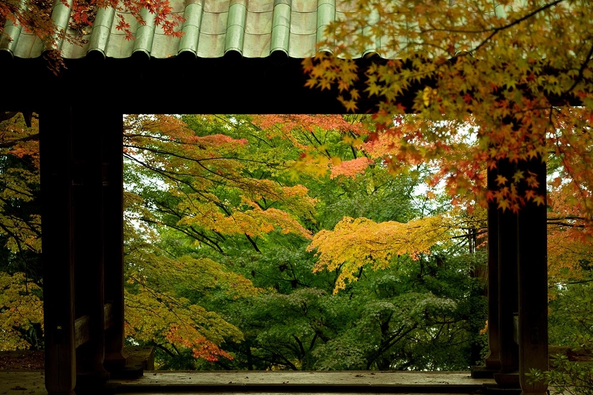 f:id:Photoshop_Akaou:20191110162913j:plain f:id:Photoshop_Akaou:20191110162913j:plain