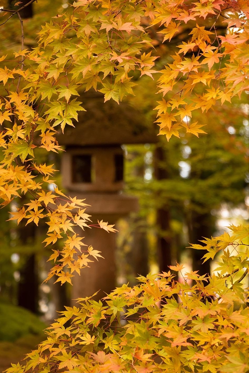 f:id:Photoshop_Akaou:20191110162921j:plain f:id:Photoshop_Akaou:20191110162921j:plain