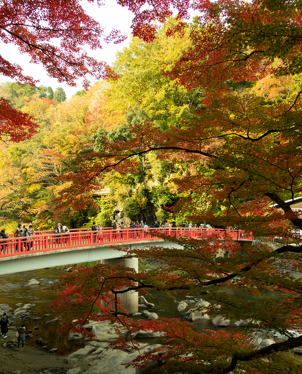 f:id:Photoshop_Akaou:20191120142202j:plain f:id:Photoshop_Akaou:20191120142202j:plain