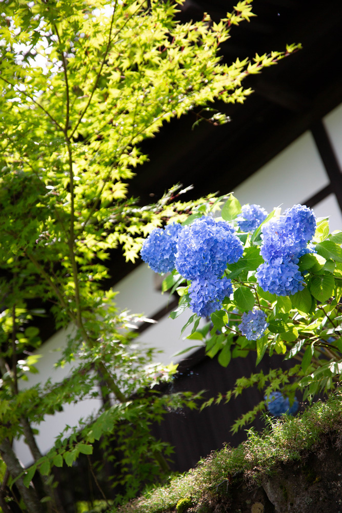 f:id:Photoshop_Akaou:20200618112721j:plain f:id:Photoshop_Akaou:20200618112721j:plain