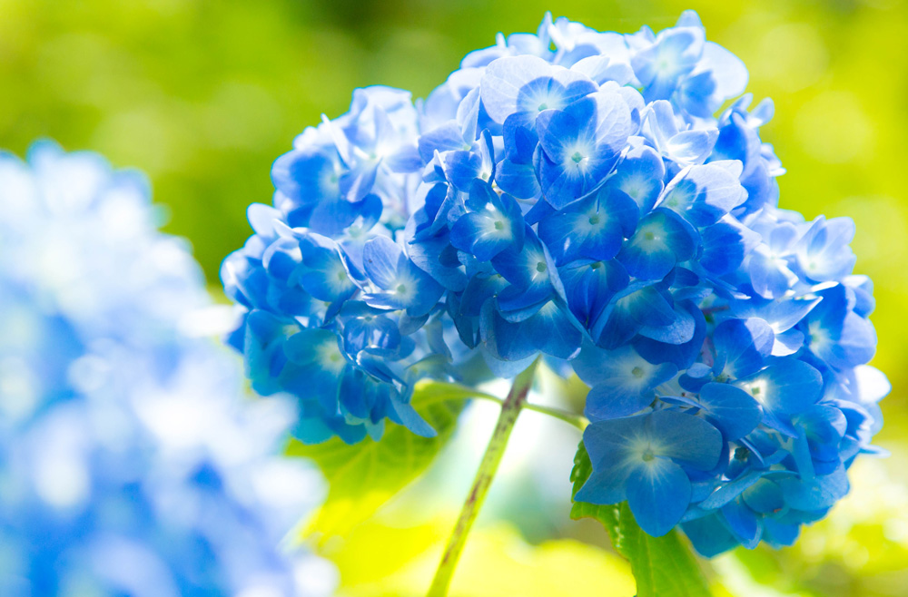 f:id:Photoshop_Akaou:20200618114310j:plain f:id:Photoshop_Akaou:20200618114310j:plain
