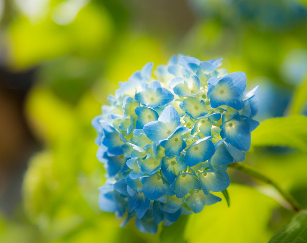 f:id:Photoshop_Akaou:20200618114317j:plain f:id:Photoshop_Akaou:20200618114317j:plain