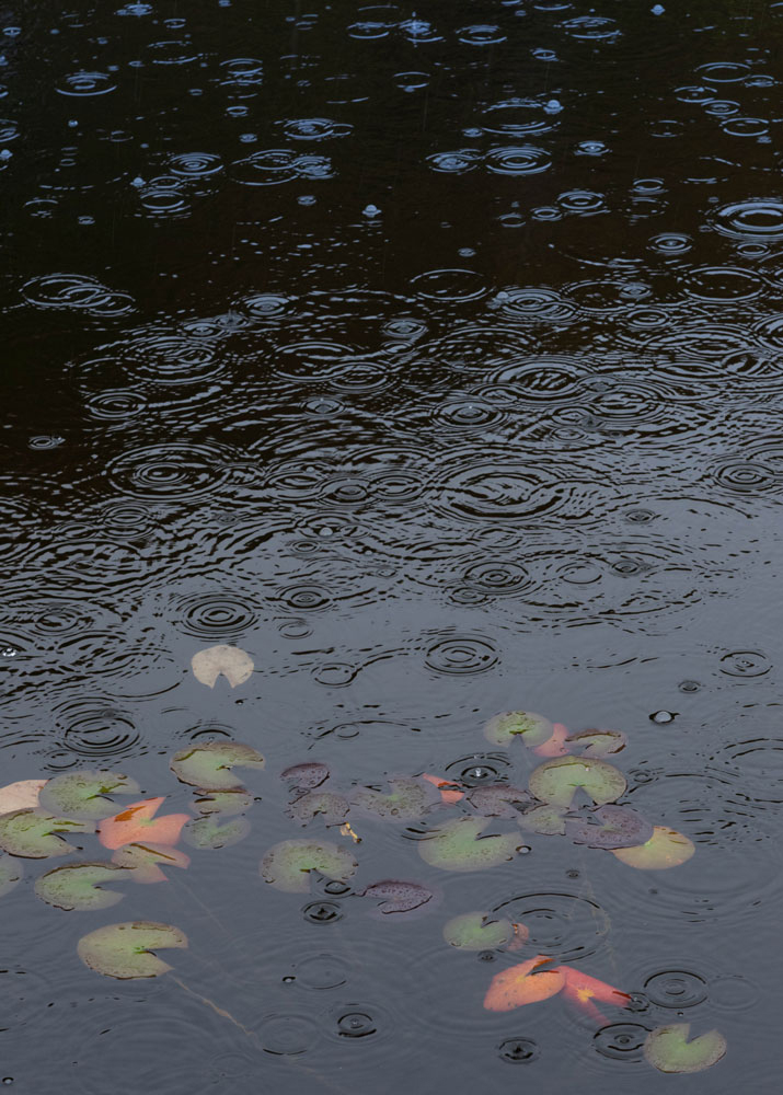 f:id:Photoshop_Akaou:20201102151805j:plain f:id:Photoshop_Akaou:20201102151805j:plain