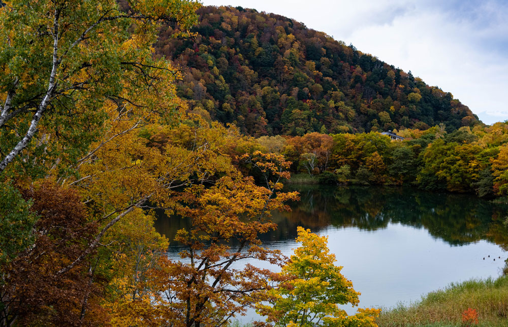 f:id:Photoshop_Akaou:20201103102517j:plain f:id:Photoshop_Akaou:20201103102517j:plain