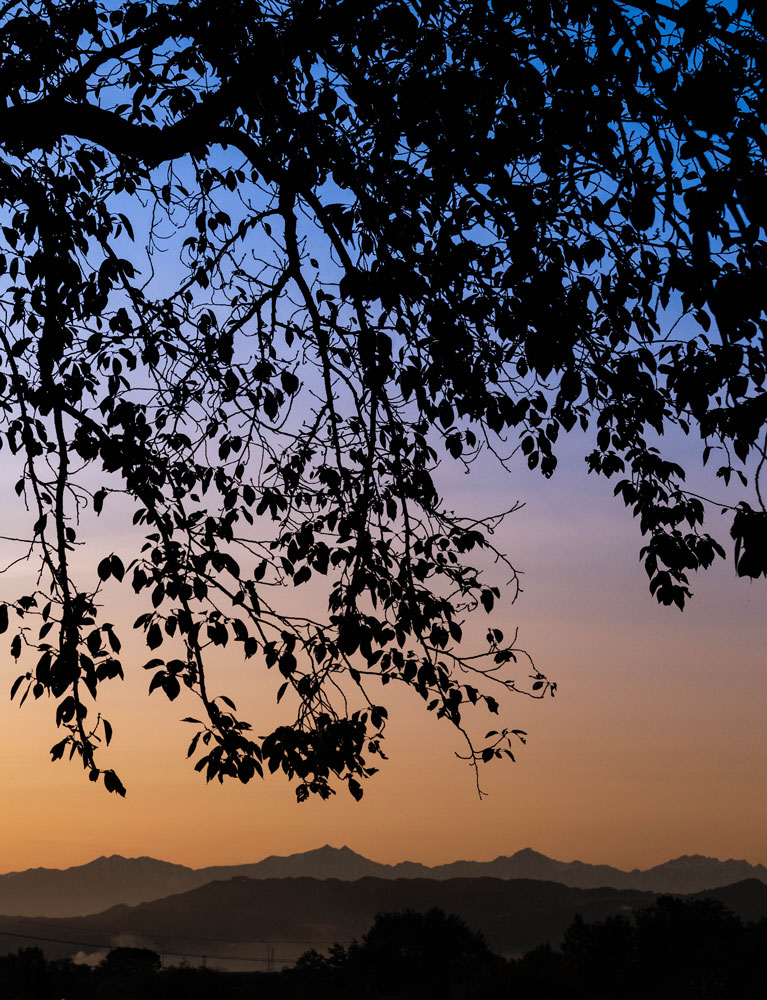 f:id:Photoshop_Akaou:20201106112858j:plain f:id:Photoshop_Akaou:20201106112858j:plain