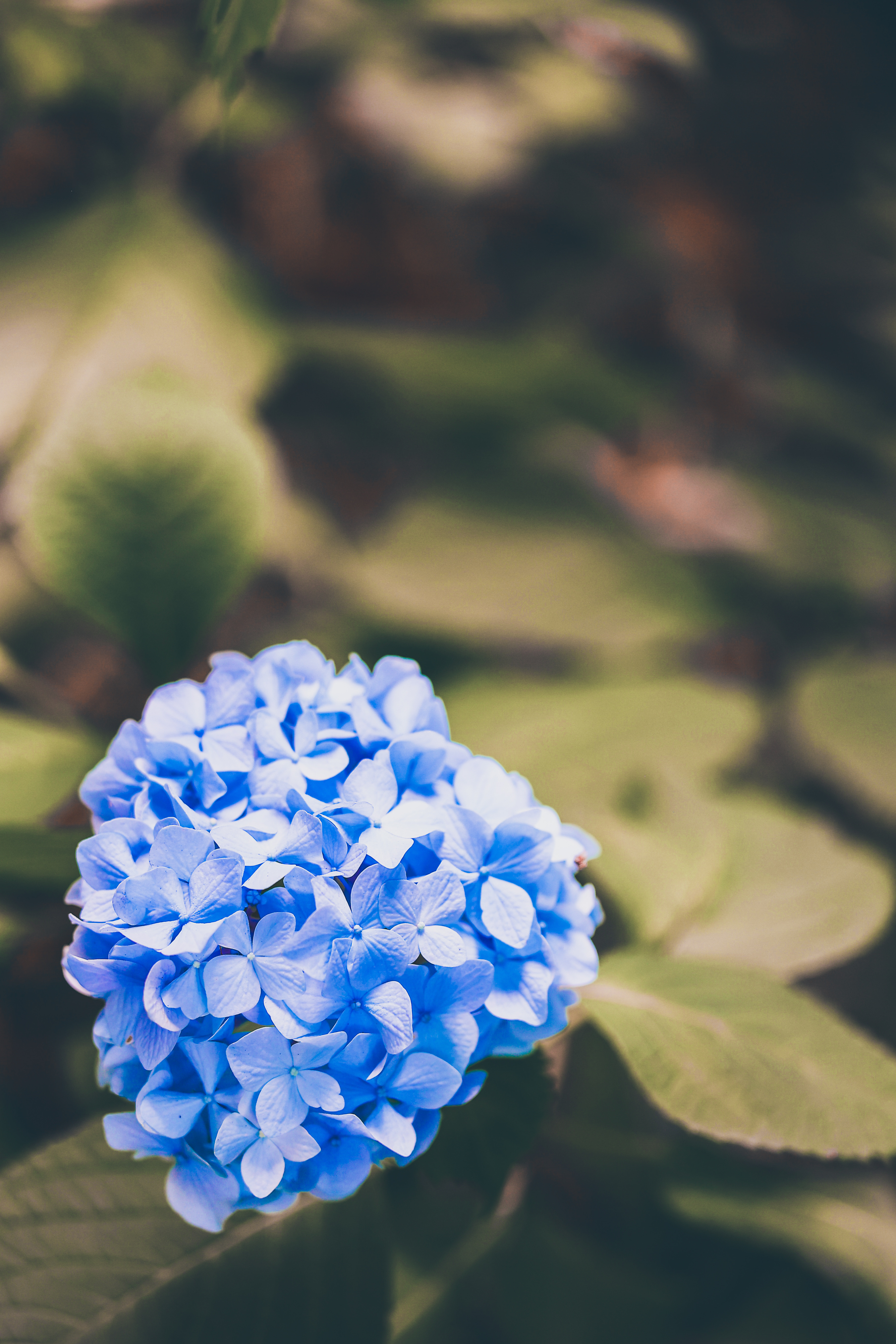 f:id:Photossy:20220613221532j:image