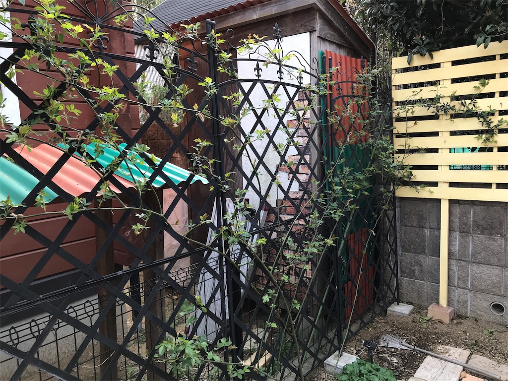 f:id:Photosynthesize:20190327152654j:image f:id:Photosynthesize:20190327152654j:image