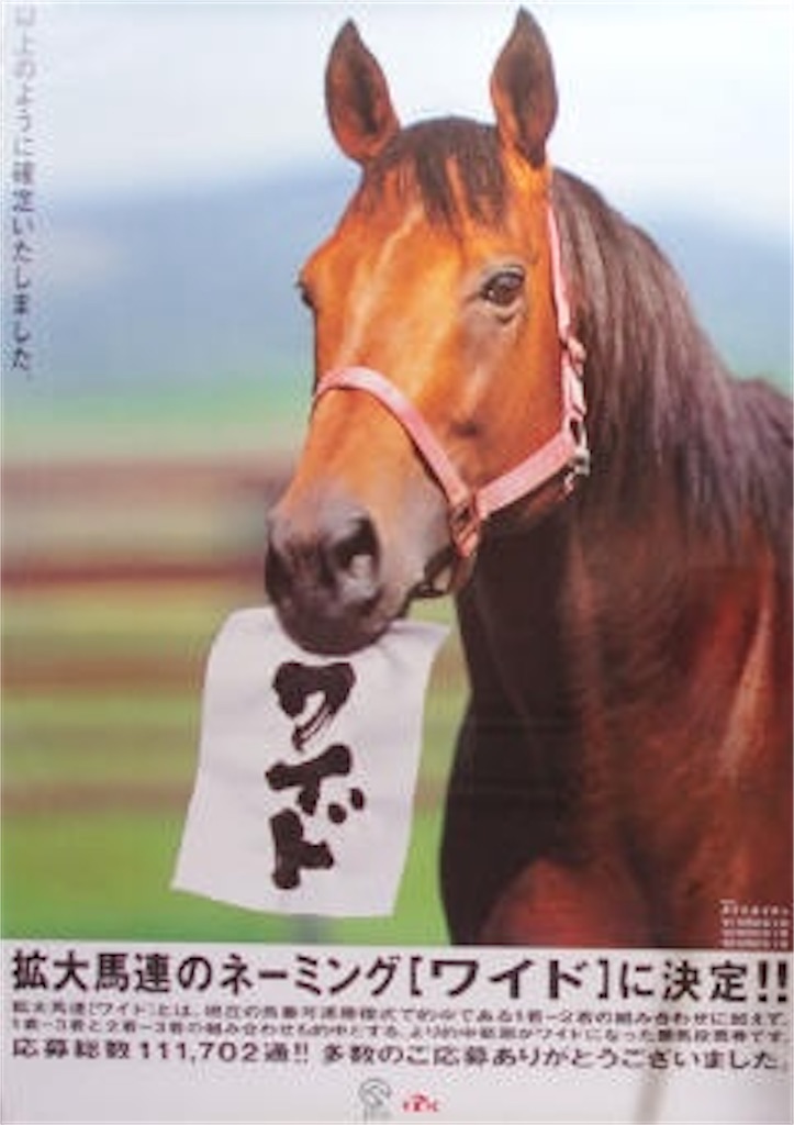 f:id:Picaso-ekaki:20210410233430j:image