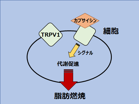 f:id:PicklesPrince:20200424193459p:plain