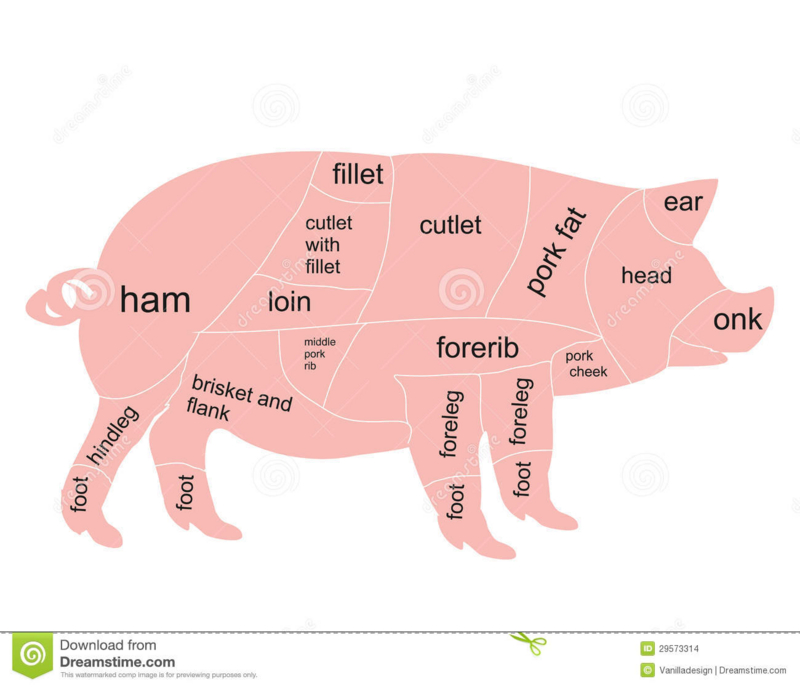 What Part Of A Pig Is A Hot Dog What Part Of A Pig Is A Hot Dog