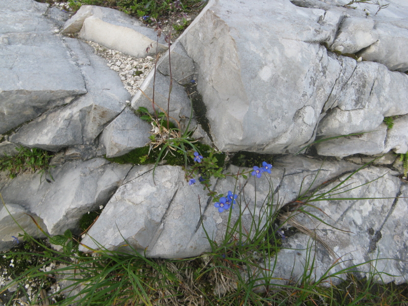 f:id:Picmoch:20160705084957j:image:w360:right